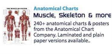 Anatomy Charts & Posters