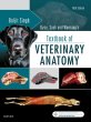 Dyce, Sack, and Wensing's Textbook of Veterinary Anatomy. Edition: 5