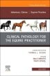 Clinical Pathology for the Equine Practitioner,An Issue of Veterinary Clinics of North America: Equine Practice