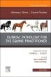 Clinical Pathology for the Equine Practitioner, An Issue of Veterinary Clinics of North America: Equine Practice