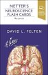 Netter's Neuroscience Flash Cards. Edition: 4