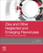 Zika and Other Neglected and Emerging Flaviviruses