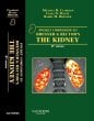 Pocket Companion to Brenner and Rector's The Kidney. Edition: 2