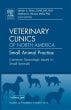Common Toxicologic Issues in Small Animals, An Issue of Veterinary Clinics: Small Animal Practice