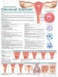 Understanding Cervical Cancer Anatomical Chart. Edition Second