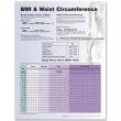 BMI and Waist Circumference