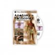 Anatomy and Pathology for Bodyworkers DVD by Real Bodywork