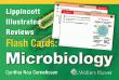 Lippincott Illustrated Reviews Flash Cards: Microbiology