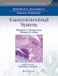Differential Diagnoses in Surgical Pathology: Gastrointestinal System. Edition First