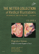 The Netter Collection of Medical Illustrations: Digestive System: Part II - Lower Digestive Tract. Edition: 2
