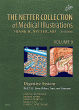 The Netter Collection of Medical Illustrations: Digestive System: Part III - Liver, etc.. Edition: 2