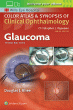Glaucoma. Edition Third