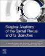Surgical Anatomy of the Sacral Plexus and its Branches