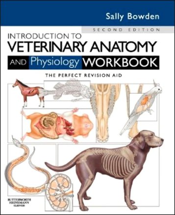 Introduction to Veterinary Anatomy and Physiology Workbook. Edition: 2