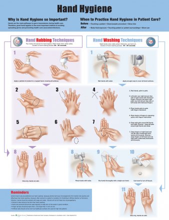 Hand Hygiene. Edition None, First Edition Laminated chart only