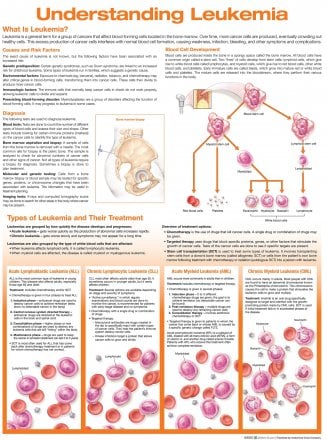 Understanding Leukemia Anatomical Chart. Edition Second