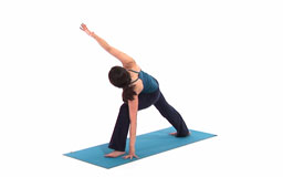 Core Power Yoga Flow DVD by Real Bodywork
