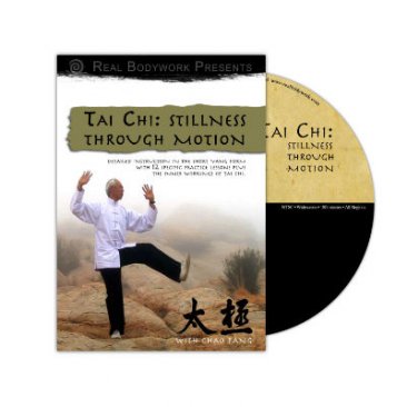 Tai Chi: Stillness through motion DVD by Real Bodywork
