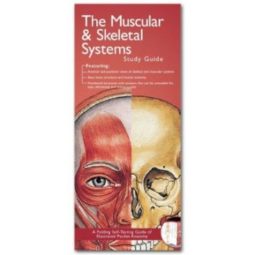 Anatomical Chart Company's Illustrated Pocket Anatomy: The Muscular & Skeletal Systems Study Guide, 2nd Edition