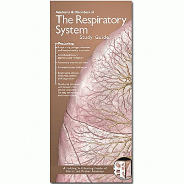 Anatomical Chart Company's Illustrated Pocket Anatomy: Anatomy & Disorders of The Respiratory System Study Guide. Edition Second