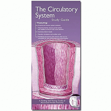 Anatomical Chart Company's Illustrated Pocket Anatomy: The Circulatory System Study Guide. Edition Second