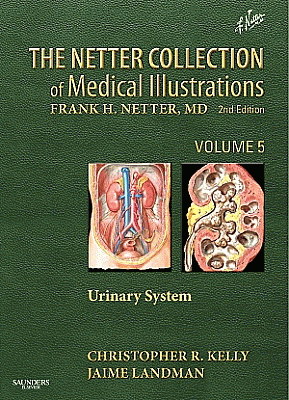 The Netter Collection of Medical Illustrations: Urinary System. Edition: 2