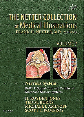 The Netter Collection of Medical Illustrations: Nervous System, Volume 7, Part II - Spinal Cord and Peripheral Motor and Sensory Systems. Edition: 2