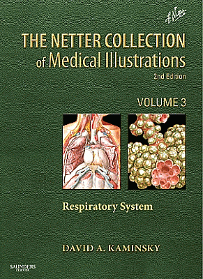 The Netter Collection of Medical Illustrations: Respiratory System. Edition: 2