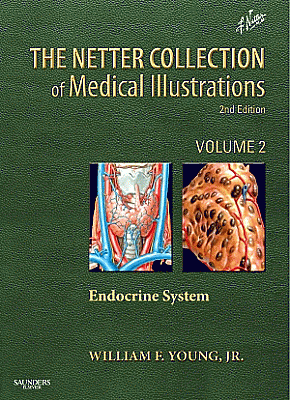 The Netter Collection of Medical Illustrations: The Endocrine System. Edition: 2