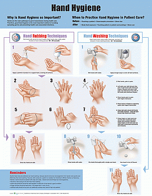 Hand Hygiene