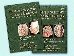The Netter Collection of Medical Illustrations: Nervous System Package. Edition: 2