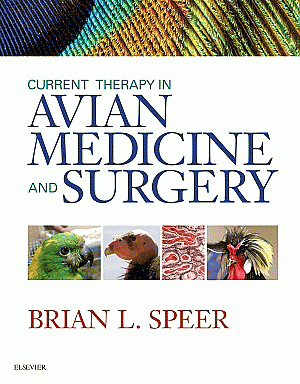 Current Therapy in Avian Medicine and Surgery