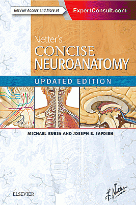 Netter's Concise Neuroanatomy Updated Edition