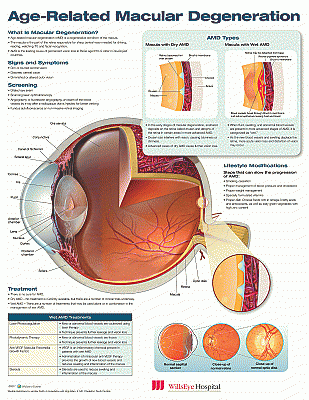 Age-Related Macular Degeneration Anatomical Chart. Edition First