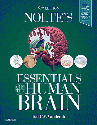 Nolte's Essentials of the Human Brain. Edition: 2