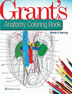 Grant's Anatomy Coloring Book. Edition First