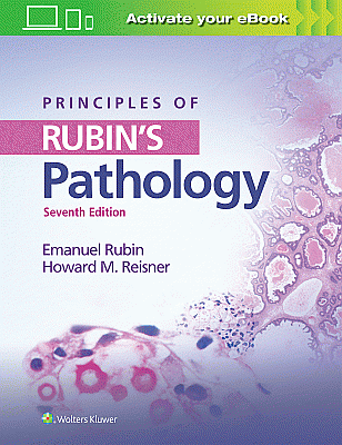 Principles of Rubin's Pathology. Edition Seventh