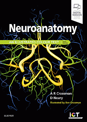 Neuroanatomy: an Illustrated Colour Text. Edition: 6