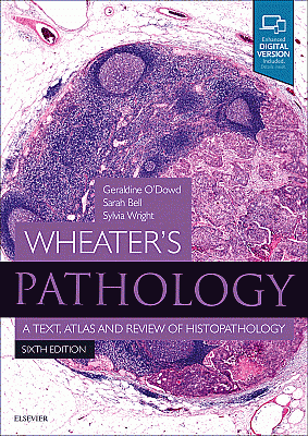 Wheater's Pathology: A Text, Atlas and Review of Histopathology. Edition: 6