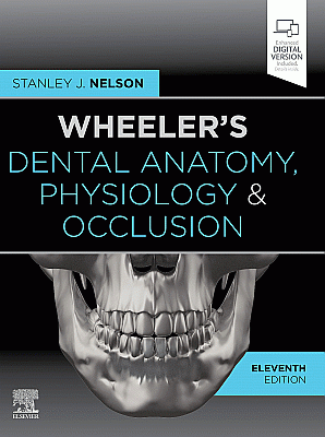 Wheeler's Dental Anatomy, Physiology and Occlusion. Edition: 11