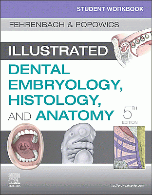 Student Workbook for Illustrated Dental Embryology, Histology and Anatomy. Edition: 5