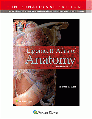 Lippincott Atlas of Anatomy, 2nd Edition