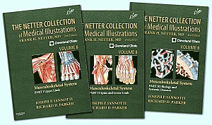 The Netter Collection of Medical Illustrations: Musculoskeletal System Package. Edition: 2