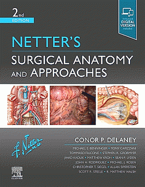 Netter's Surgical Anatomy and Approaches. Edition: 2