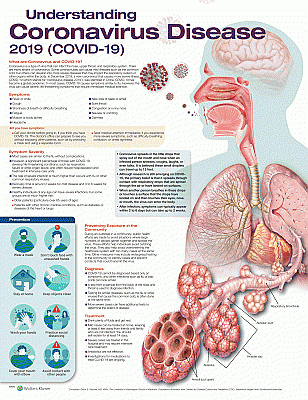 Understanding Coronavirus Disease 2019 (COVID-19) Anatomical Chart. Edition Revised Reprint