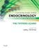 Endocrinology Adult and Pediatric: The Thyroid Gland. Edition: 6