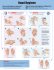 Hand Hygiene. Edition None, First Edition Laminated chart only