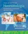 Avery y Macdonald. Neonatología. Edition Eighth