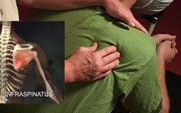Chair Massage DVD by Real Bodywork