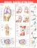 Athletic Injuries of the Knee Anatomical Chart